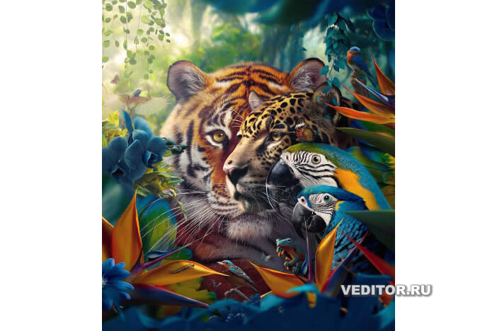 Adobe Photoshop 2024 25.9.1 Win