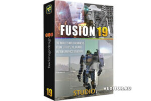 Fusion 19